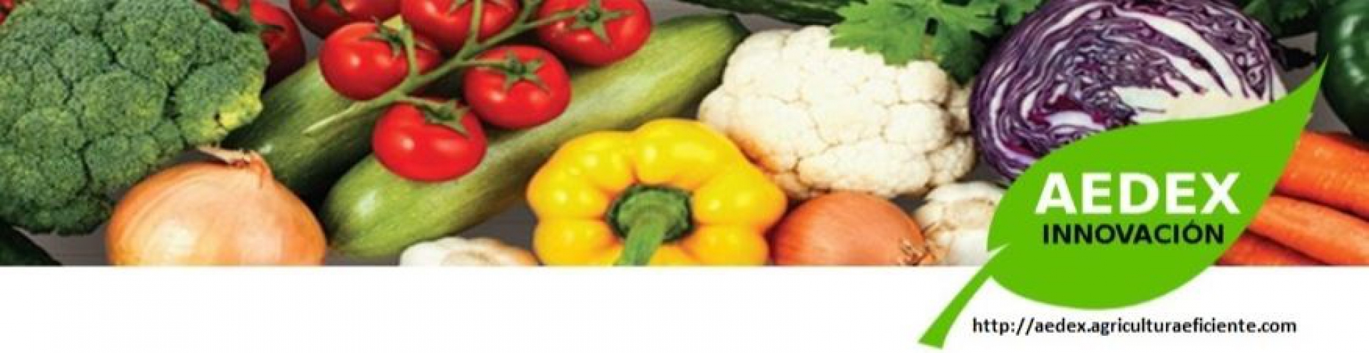 Presentación en las Jornadas Técnicas de AGROEXPO 2019 del Grupo Operativo AEDEX INNOVACIÓN dentro del proyecto INTERNOVAGRO