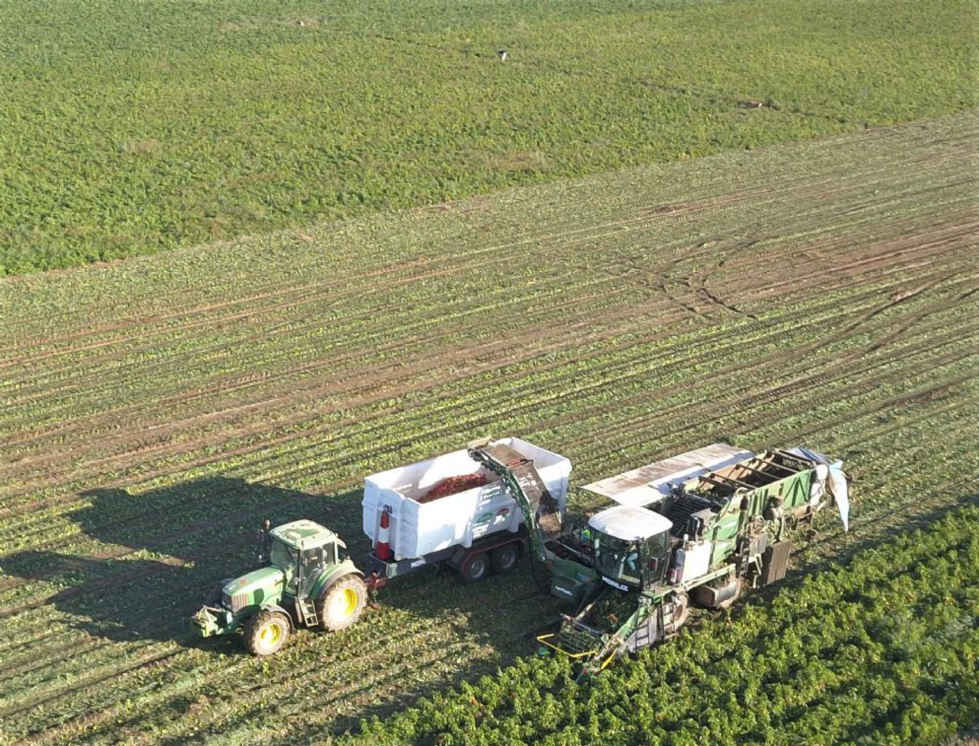 Internovagro culmina su desarrollo con excelentes resultados en los objetivos pretendidos